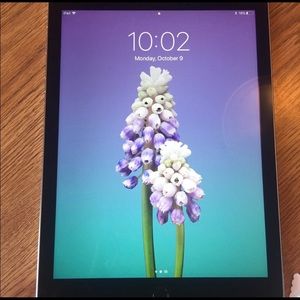 iPad Air 2 w/ accessories